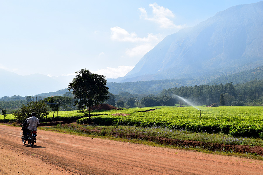 Meandering Through Malawi