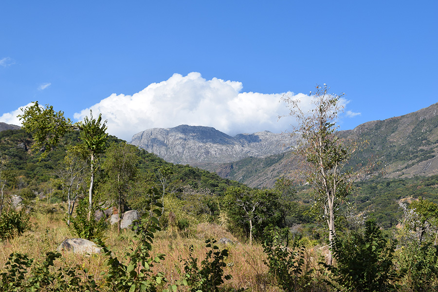 Meandering Through Malawi