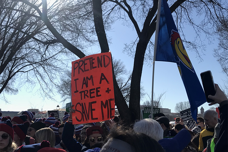 Why I March