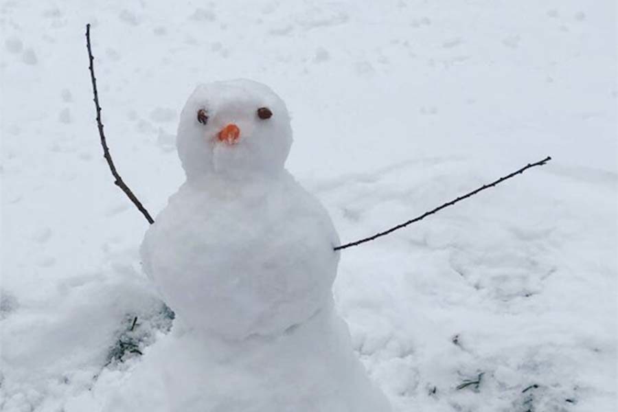 Making the most out of the snow, I built a little snowman on one of my days off.