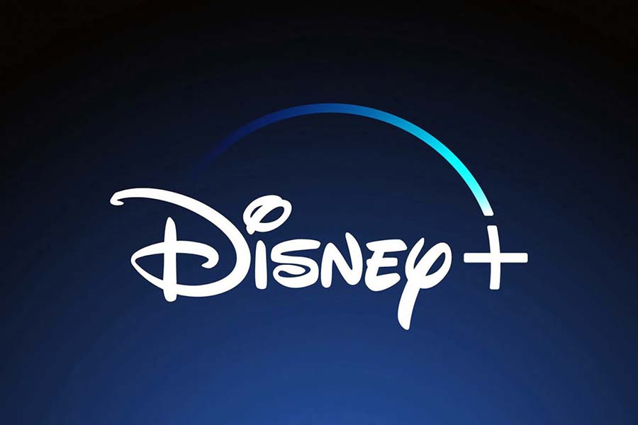 Disney+ was released to the public Nov. 12 and houses countless movies and television shows. 