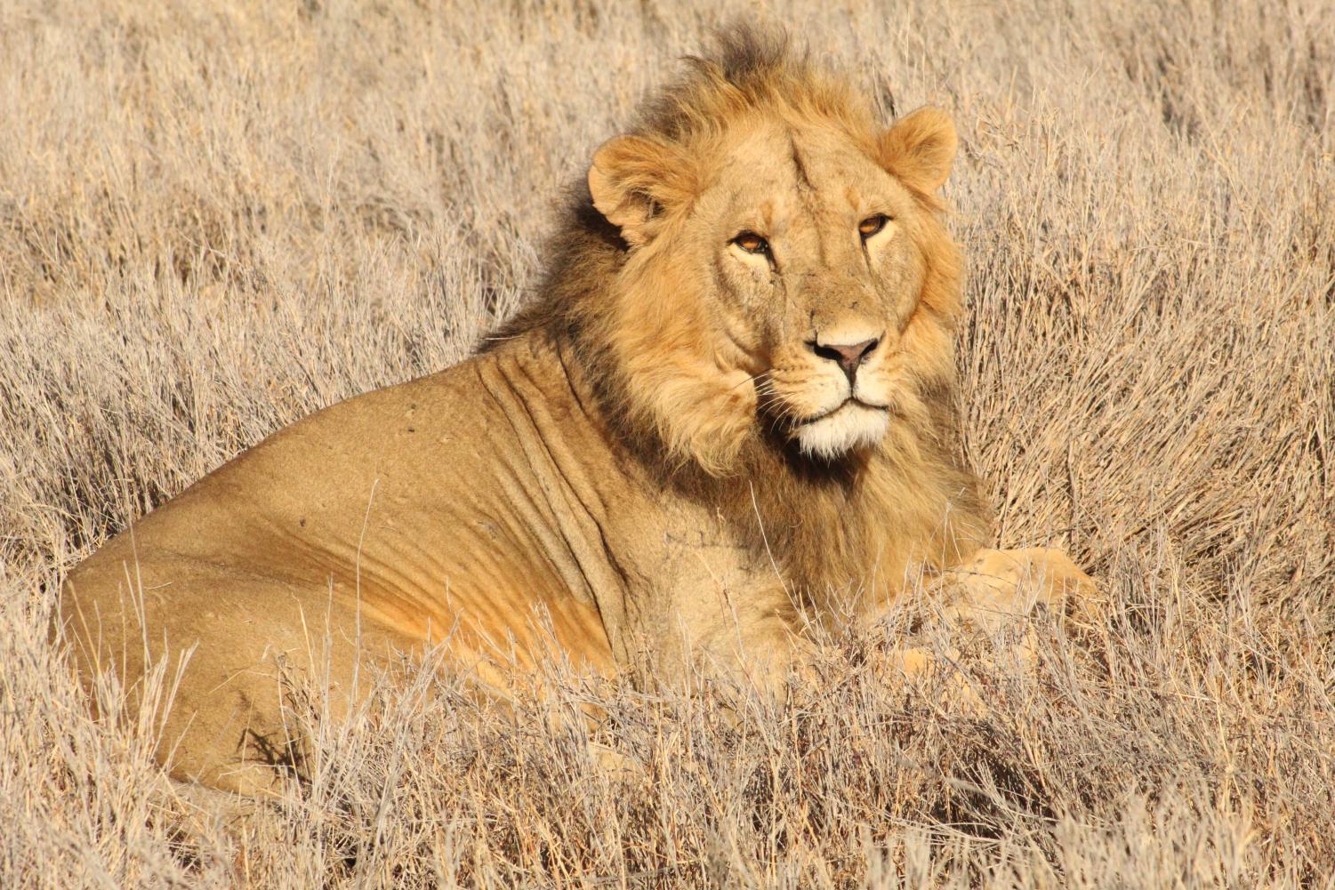 The Young Conservationists | Kenya Deep Dive Photogallery