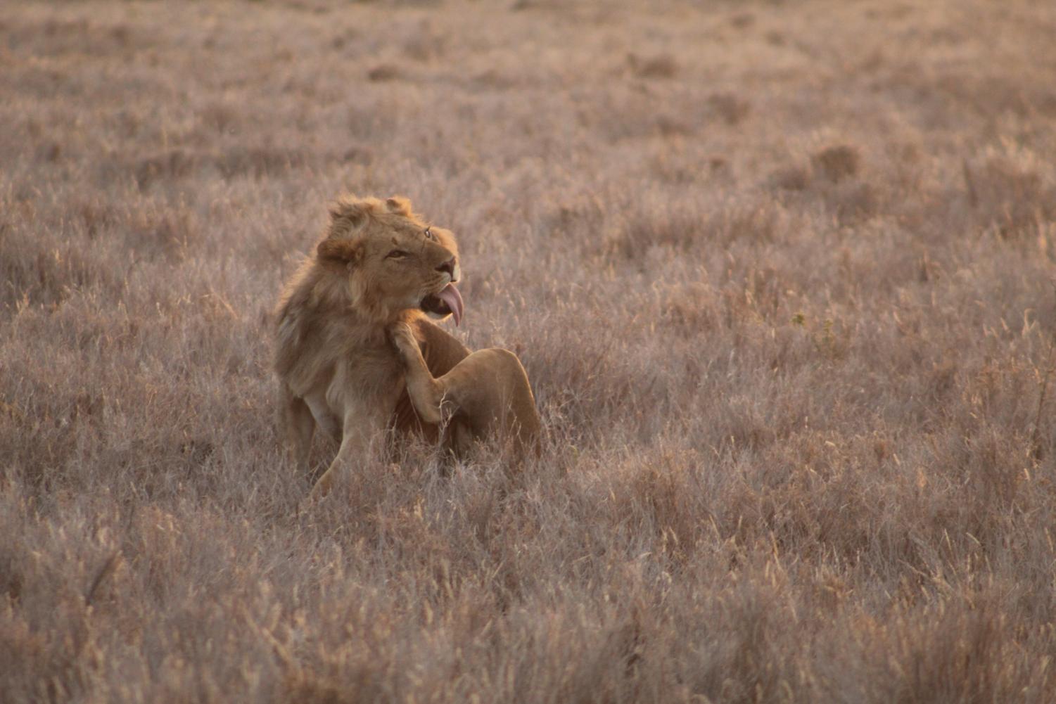 The Young Conservationists | Kenya Deep Dive Photogallery