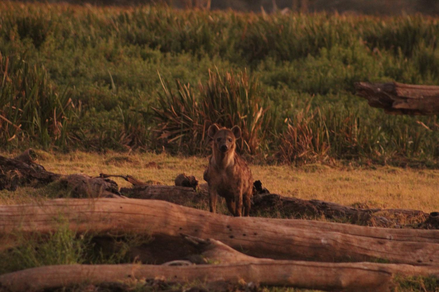 The Young Conservationists | Kenya Deep Dive Photogallery