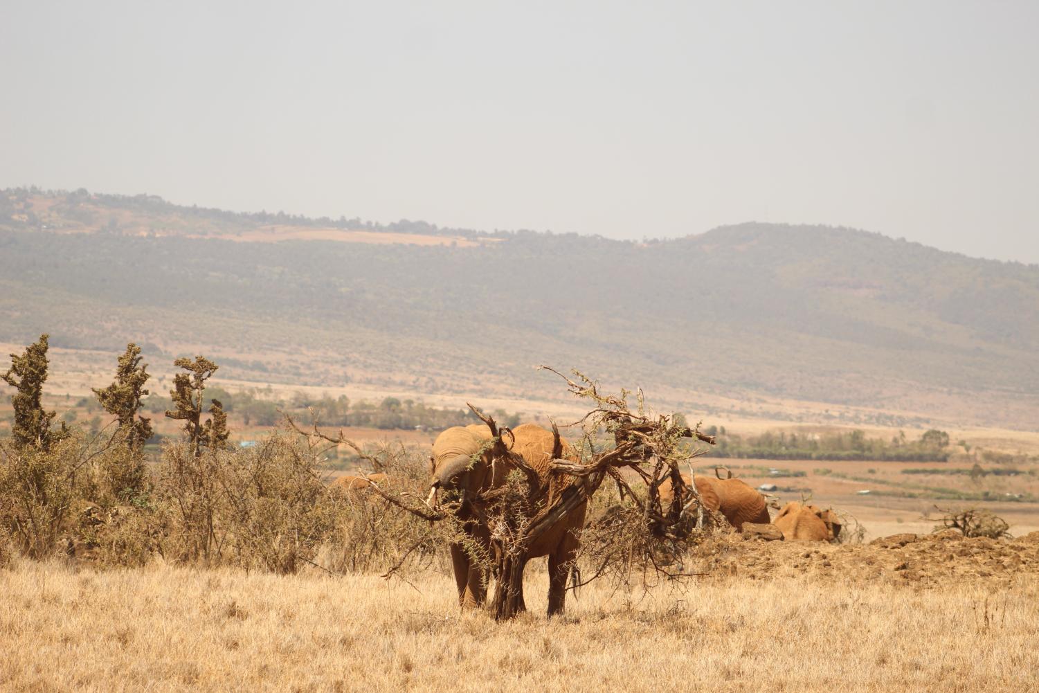 The Young Conservationists | Kenya Deep Dive Photogallery