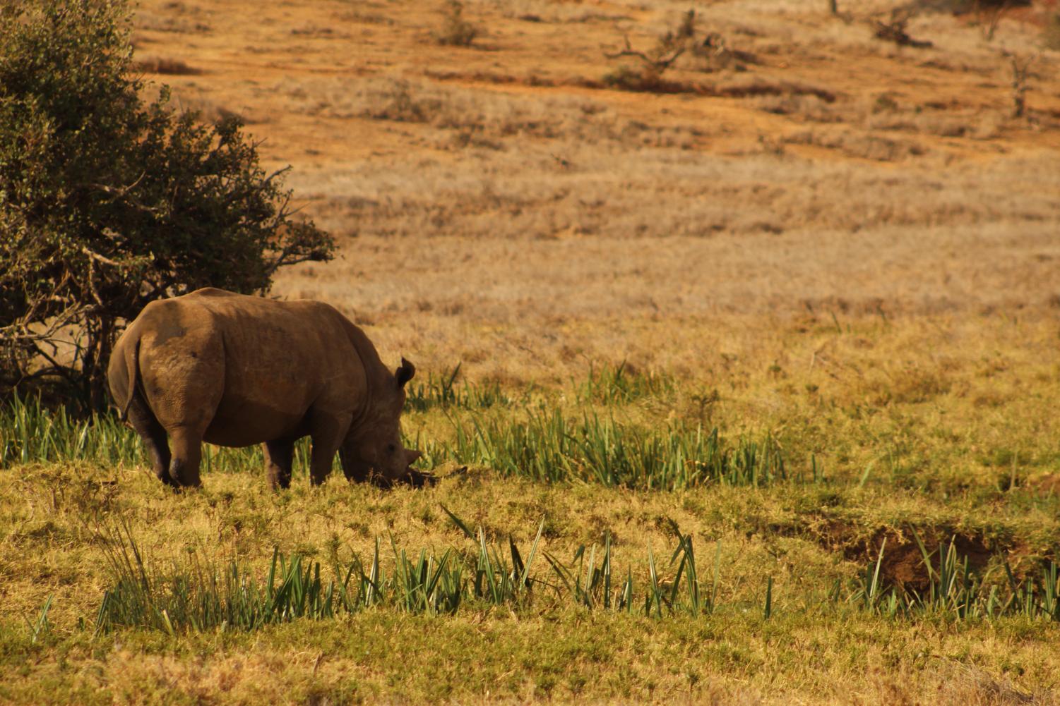 The Young Conservationists | Kenya Deep Dive Photogallery