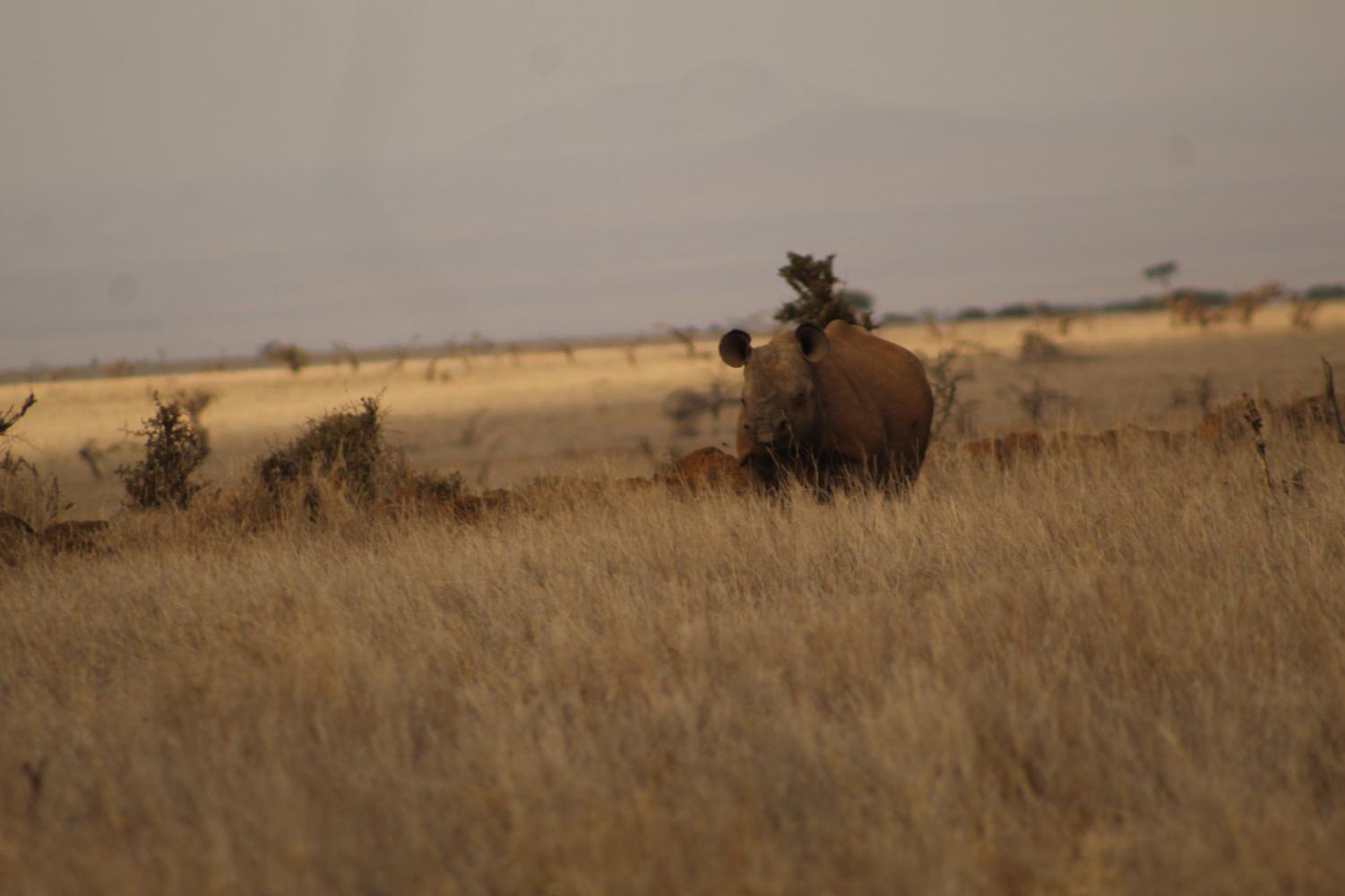 The Young Conservationists | Kenya Deep Dive Photogallery