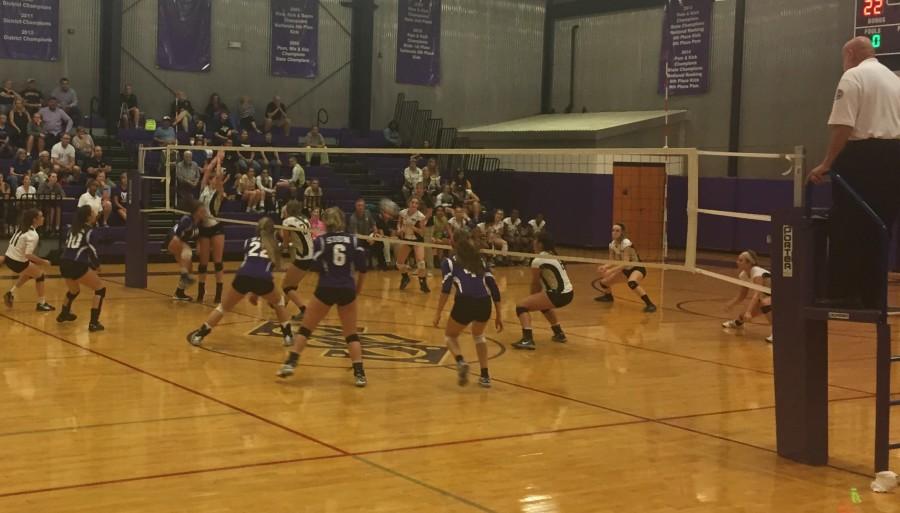 Volleyball Senior Night is Victorious