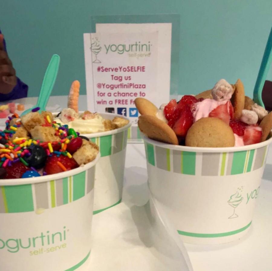 Yogurtini Gratifies Tastebuds for Cheap