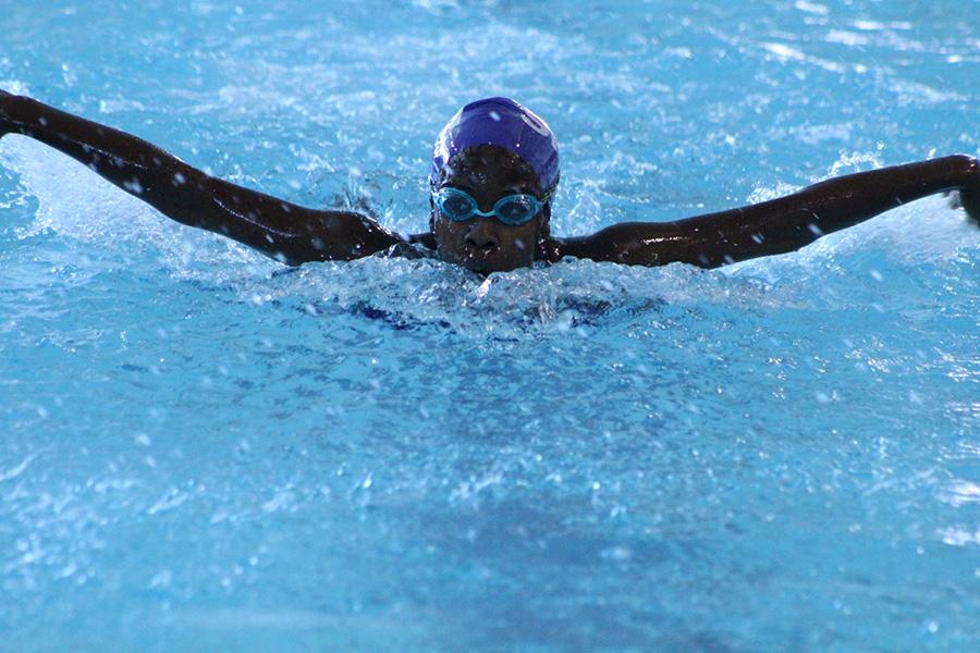 Swim and Dive Northland Invitational Photo Gallery