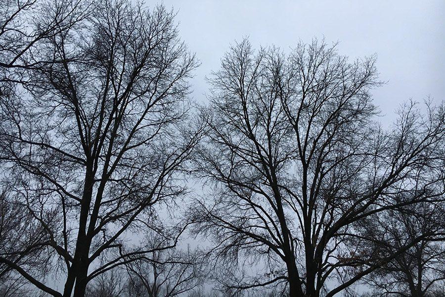 Gray skies accompanying winter weather begins the third quarter slump that many students face.