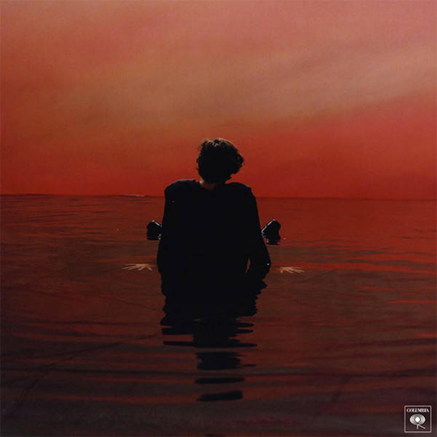 Harry Styles debuted his album art to his 19.9 million Instagram followers.