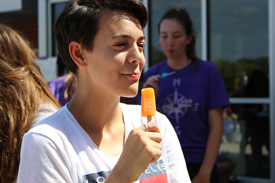 Dodgeball and Firefighters Highlight Freshman Field Day