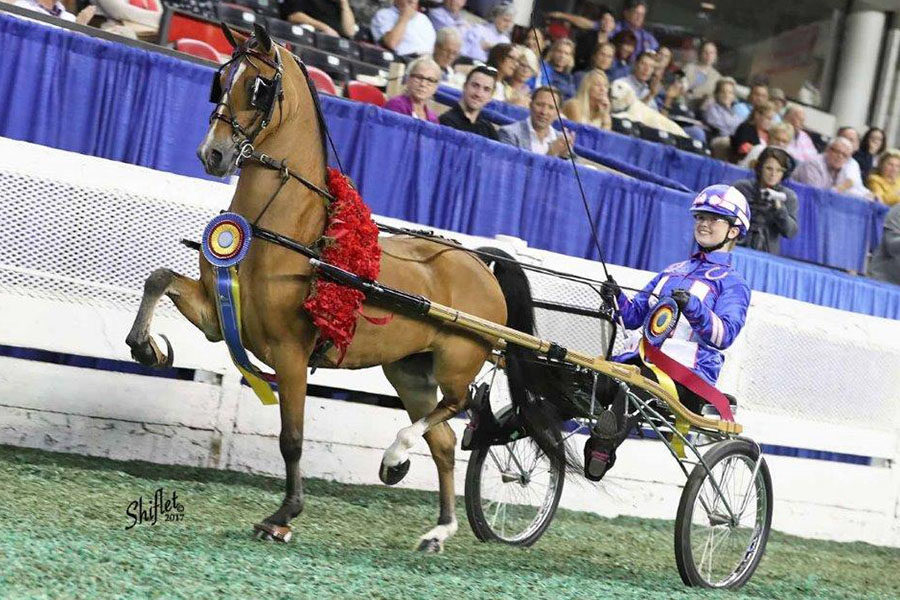 Freshman Nicole Jackson takes her victory lap after winning the Worlds competition.