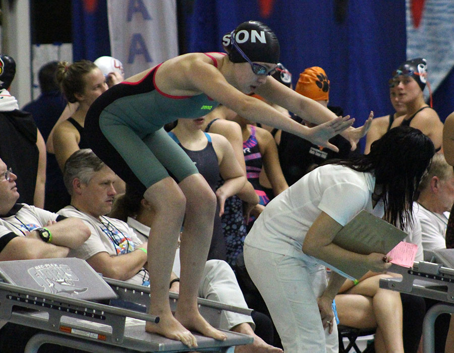 Swim and Dive Succeeds at State