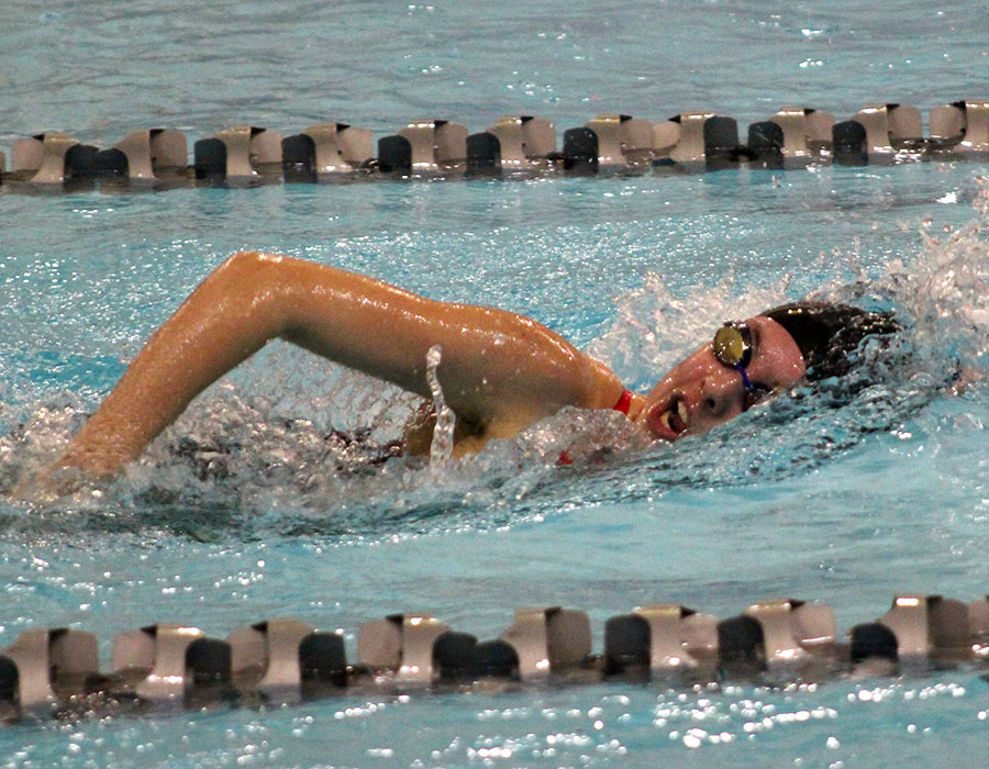 Swim and Dive Succeeds at State