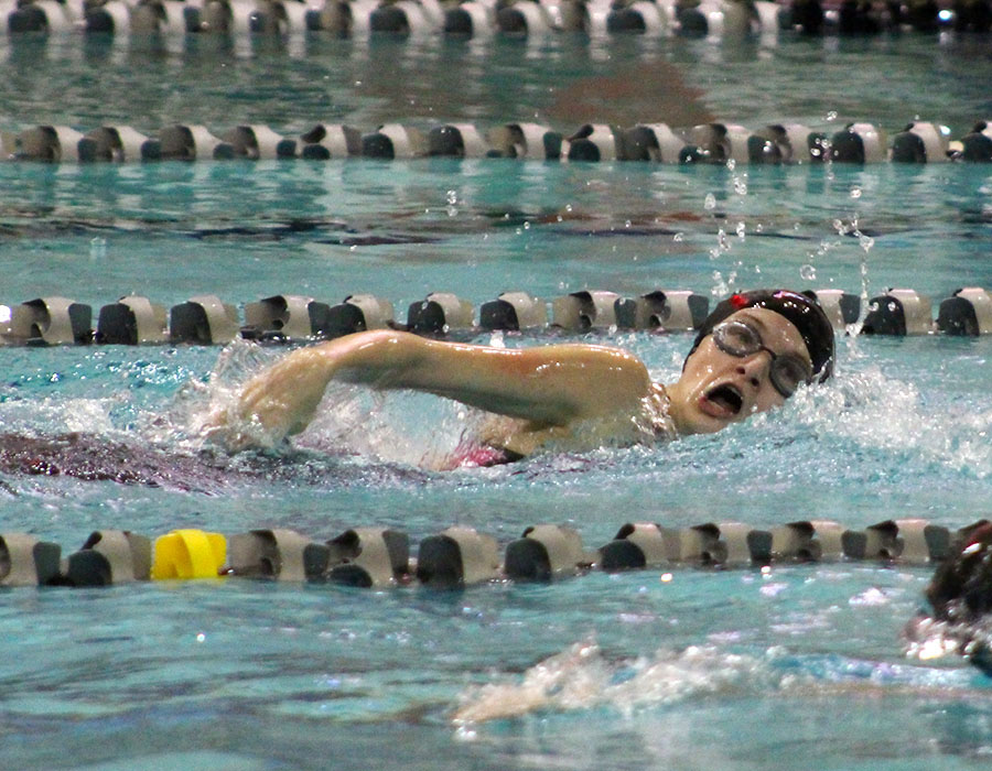 Swim and Dive Succeeds at State