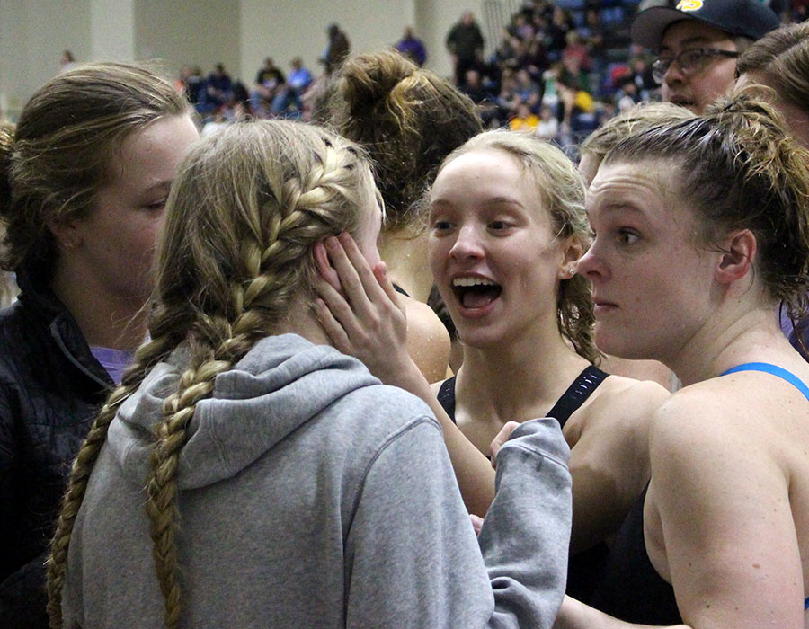 Swim and Dive Succeeds at State