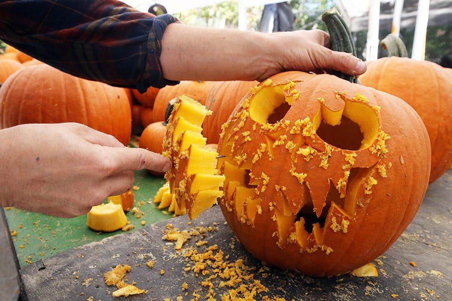 Zach Kennett of Putnam, CT carves a face into one of the thousands of pumpkins that will be on display at the Jack-O-Lantern Spectacular at Roger Williams Park Zoo staring Thursday. [The Providence Journal/Bob Breidenbach]