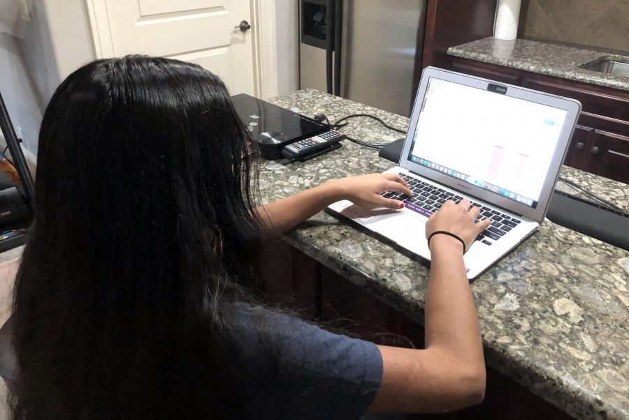 Senior Rajitha Velakaturi works on a text bank from home as a part of her volunteer work as a campaign fellow.