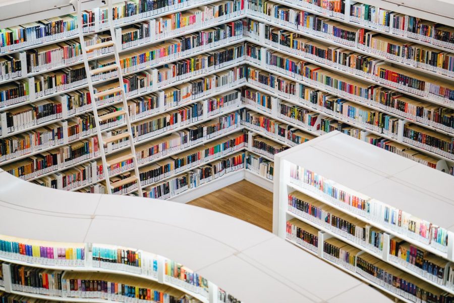 Libraries, once revered and essential institutions, are struggling to adapt with an increasingly digital age. 