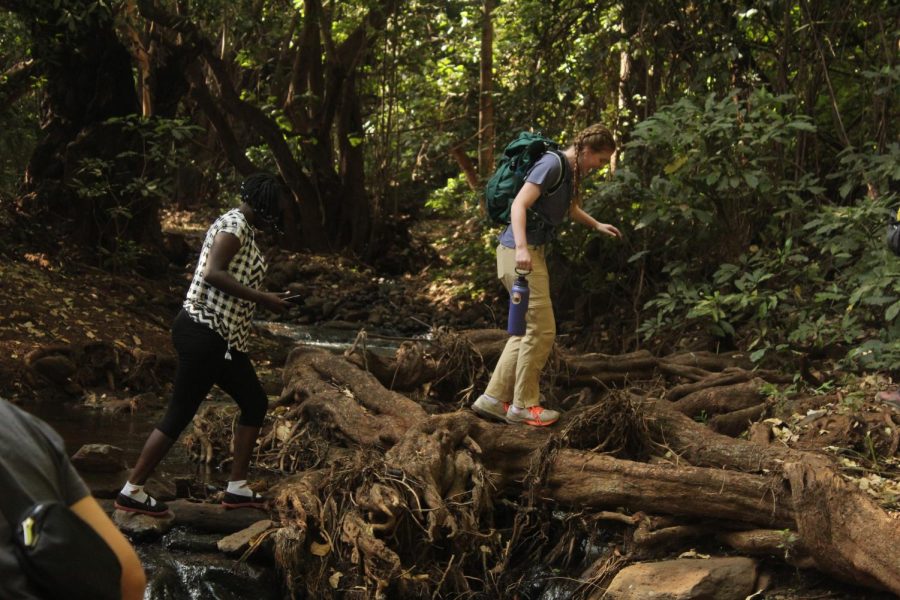 Walking across a log Junior Claire Boma and Kenyan student Diana follow the other students on a hike.