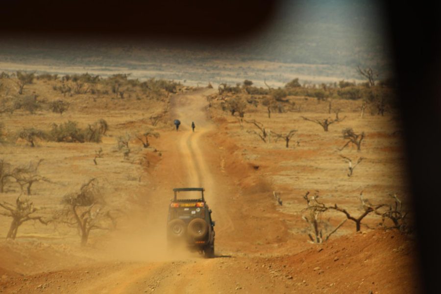 The safari cars drive back to camp for lunch.