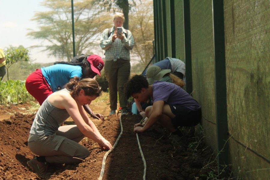 Juniors Suzanne Sade, Mary Margret Perkins and Claire Boma; sophmore Ella Saterwhite; and Kenyan student Sabina dig holes under the holes for drip irrigation while missions director Annie Riggs takes a photo.