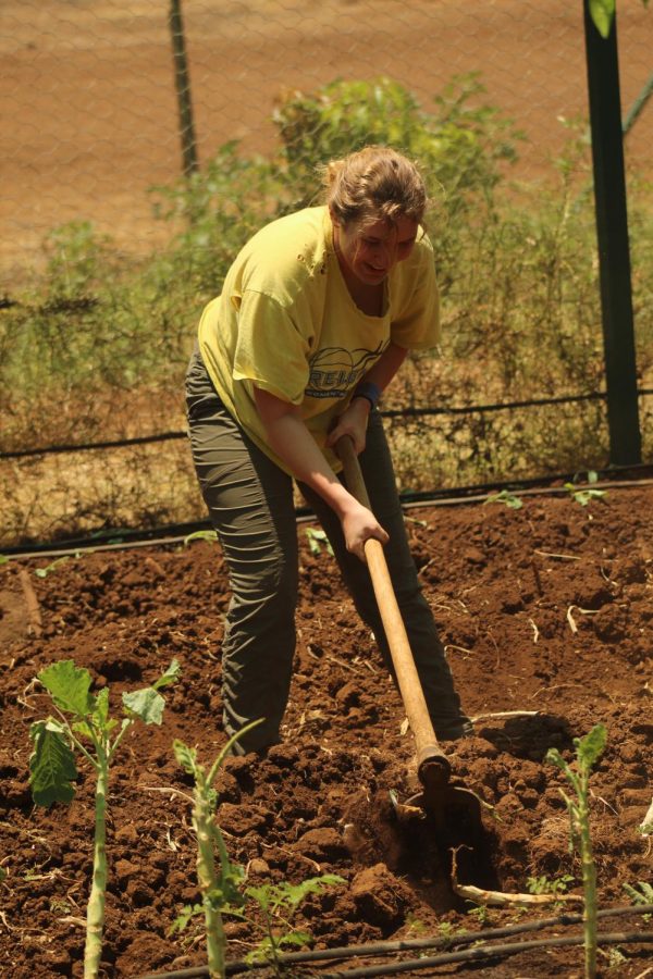 Junior Lucy Wittek helps till the dirt in order to plant things in the garden.