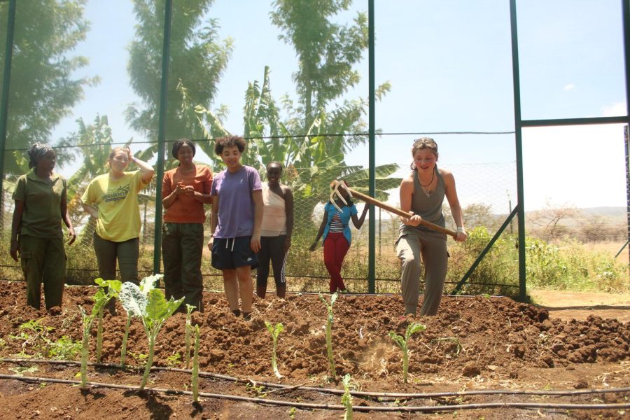 Junior Suzanne Sade tills in the garden while fellow juniors Mary Margret Peerkins, Kosi Okuagu, and Lucy Wittek watch.