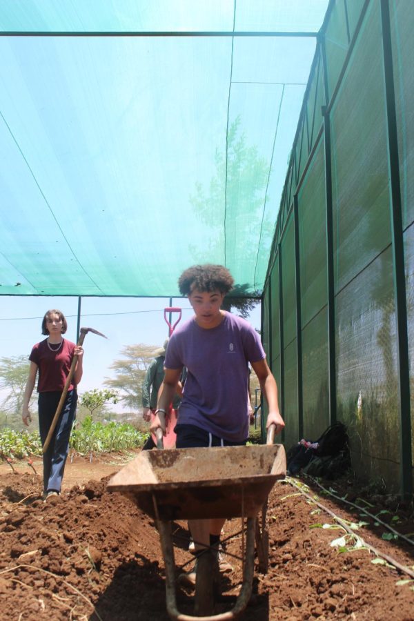 Junior Mary Margret Perkins pushes the wheelbarrow to get fertilizer for the garden.