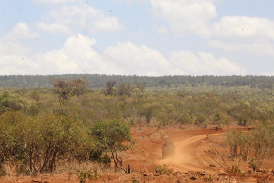 While driving the safari cars pass over a dusty road.