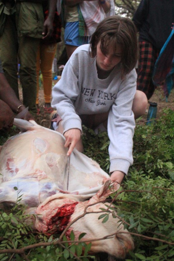 *TRIGGER WARNING*
Josphat helps junior Kate Wren skin the goat by pulling back the hide.